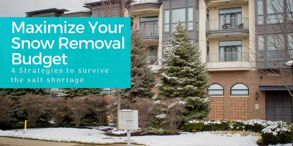 4 Key Strategies To Maximize Your Snow Removal Budget